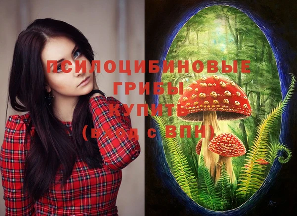 спиды Великий Новгород