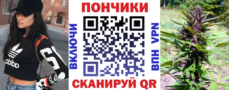 Каннабис гибрид  даркнет как зайти  Стародуб 