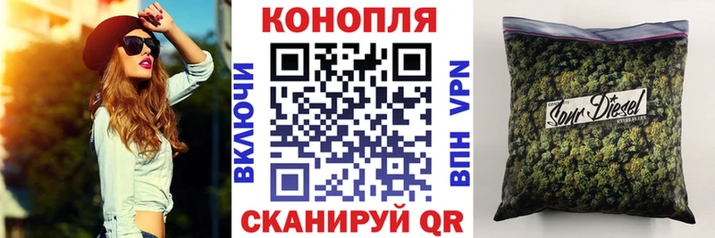 Канабис OG Kush Стародуб